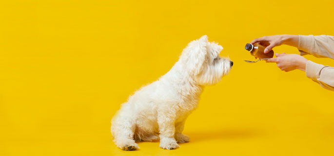 sub-banner2